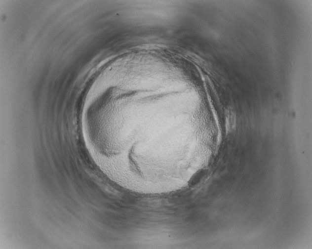 X0000071770339200607282218