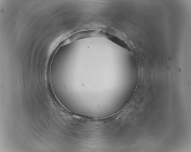 X0000071770340200607282218