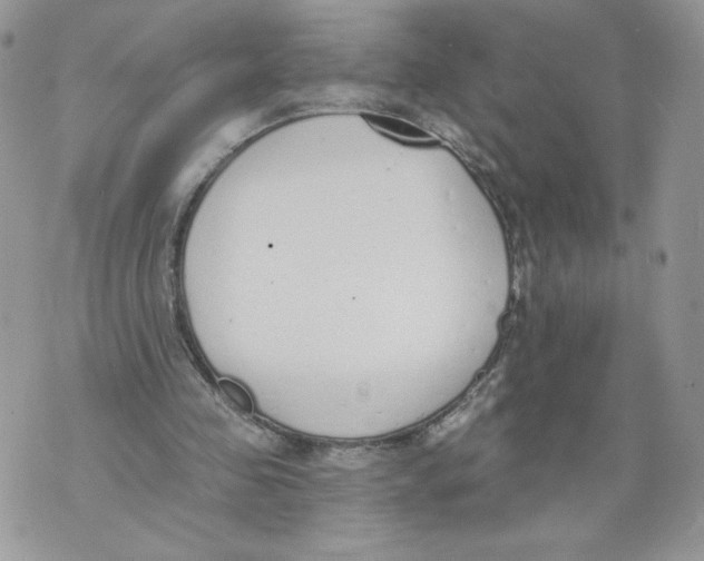 X0000071770341200607282218