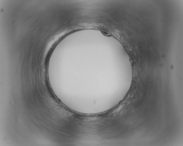 X0000071770342200607282218