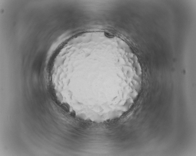 X0000071770343200607282218