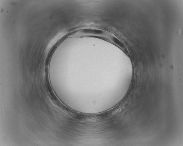 X0000071770344200607282218