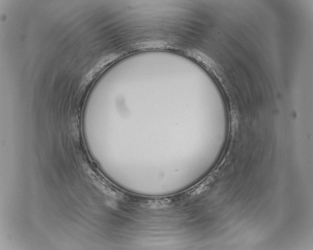 X0000071770345200607282218