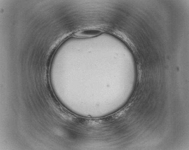 X0000071770346200607282219