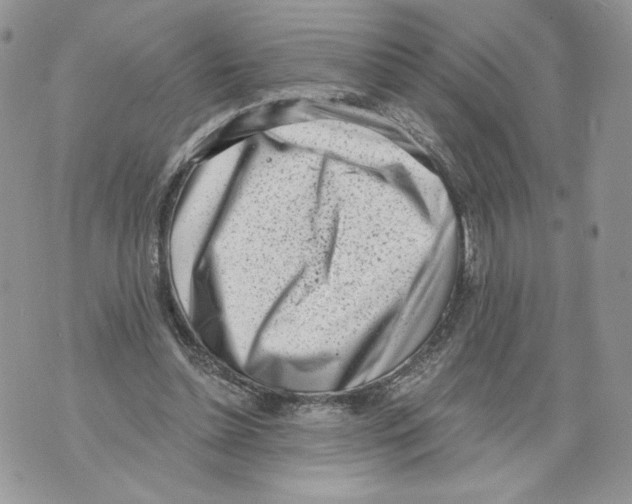 X0000071770348200607282219