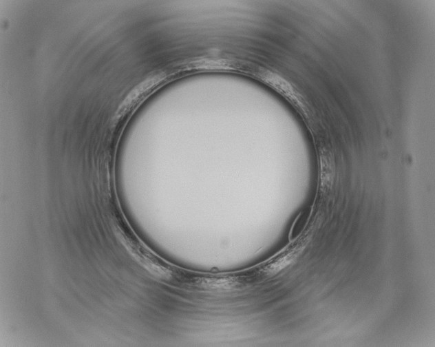 X0000071770349200607282219