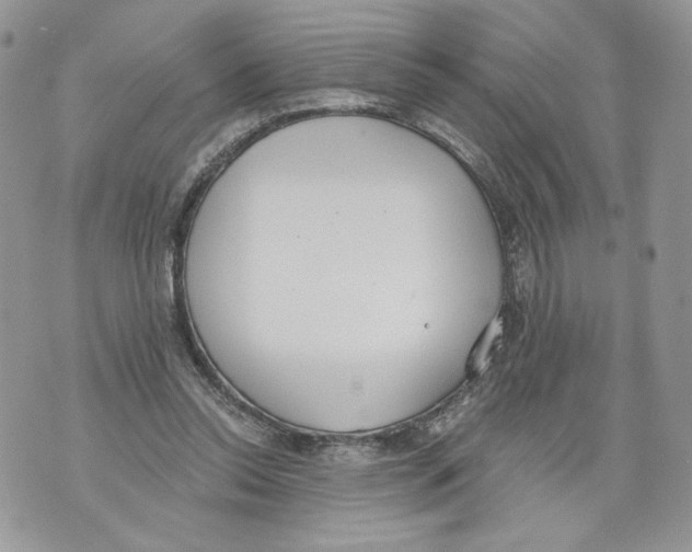 X0000071770350200607282219