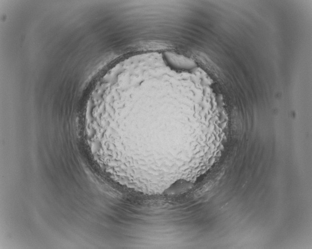 X0000071770351200607282219