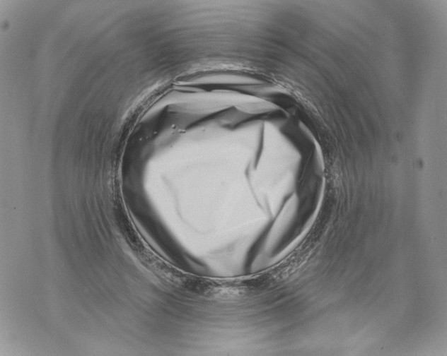 X0000071770352200607282219