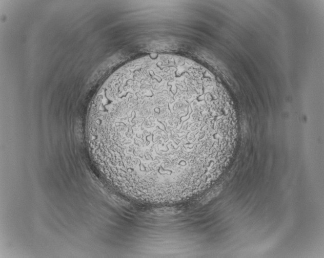 X0000071770353200607282219