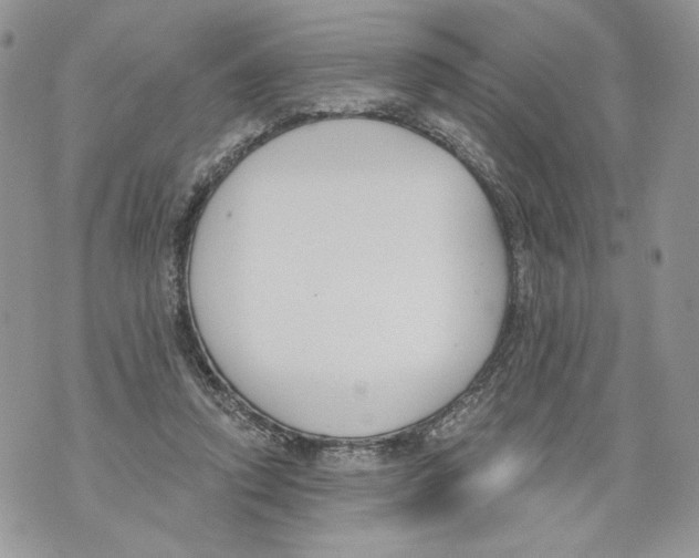 X0000071770354200607282219