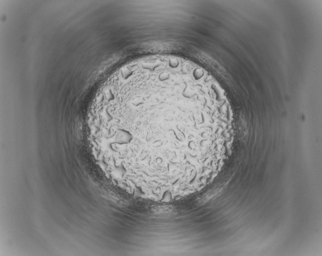 X0000071770355200607282219