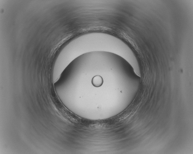 X0000071770356200607282219