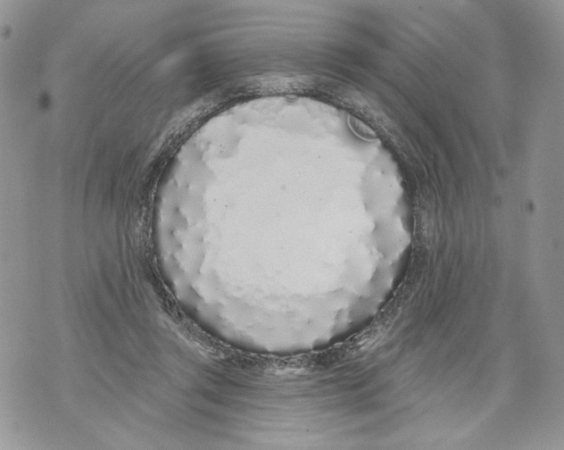 X0000071770357200607282219