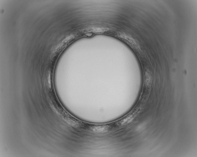 X0000071770358200607282219