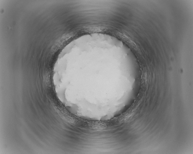 X0000071770359200607282219