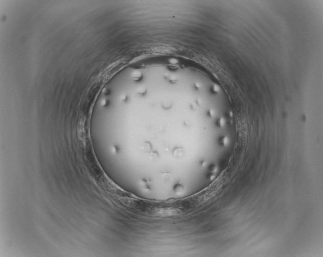 X0000071770360200607282219