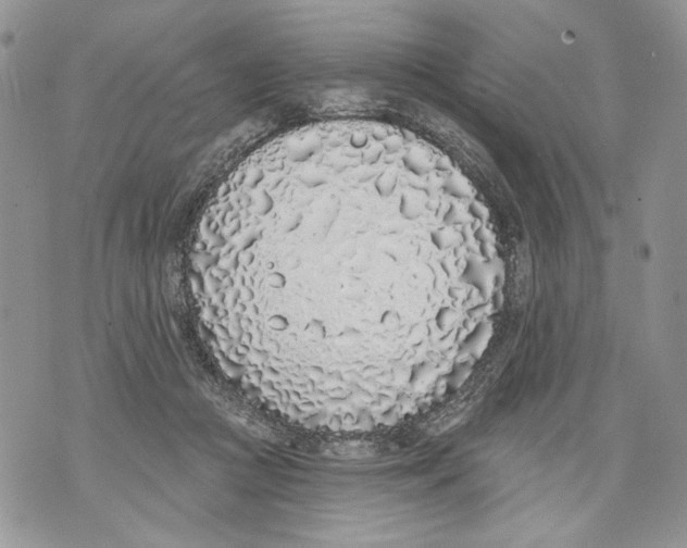 X0000071770361200607282219