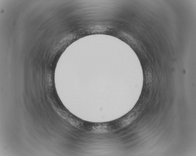 X0000071770362200607282219