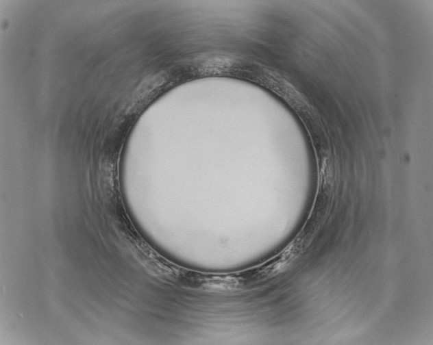 X0000071770363200607282219