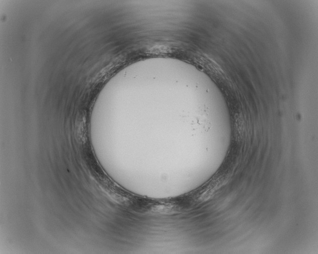 X0000071770364200607282219