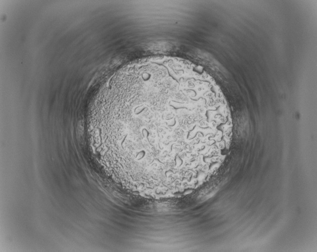 X0000071770365200607282219