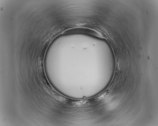 X0000071770366200607282219