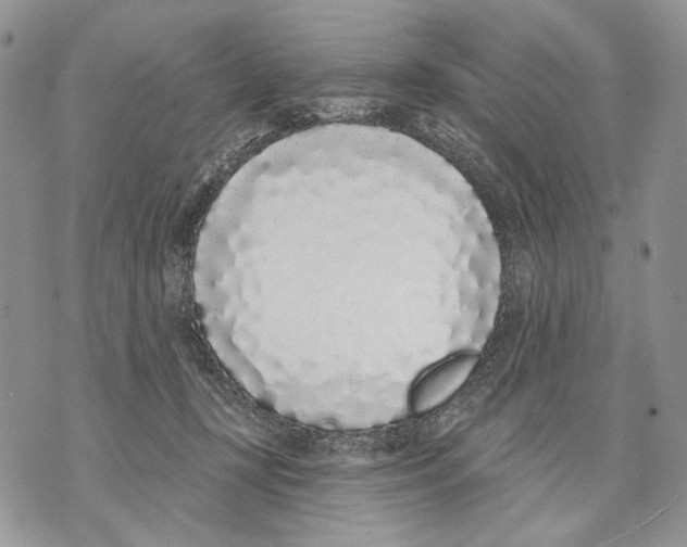 X0000071770367200607282219