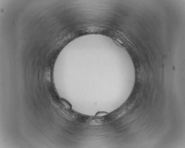 X0000071770368200607282219