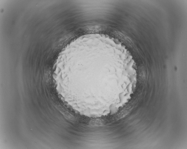 X0000071770369200607282219