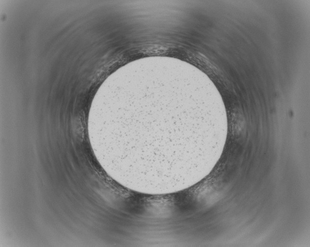 X0000071770370200607282219