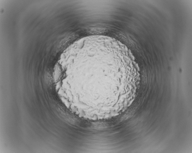 X0000071770371200607282219