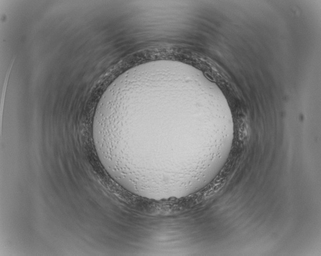 X0000071770372200607282219