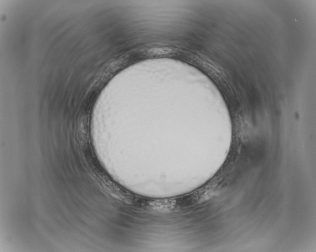 X0000071770373200607282219