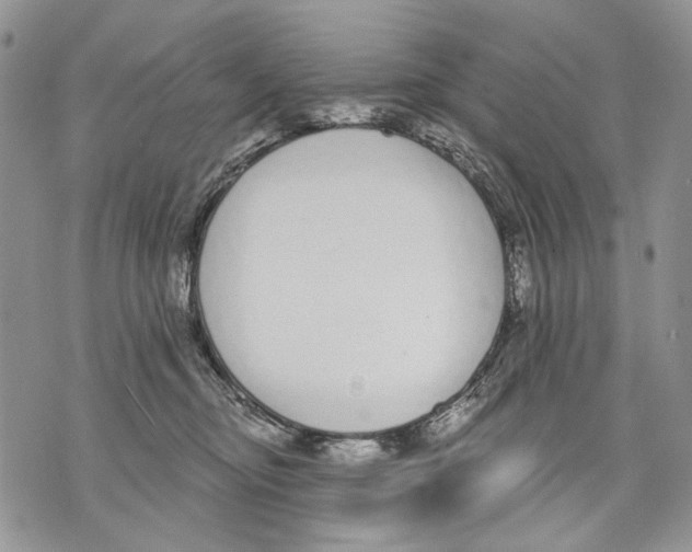 X0000071770374200607282219