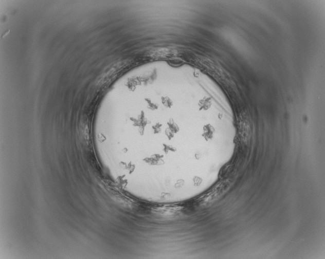 X0000071770375200607282219