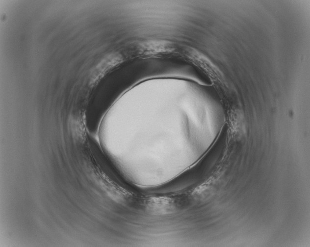 X0000071770376200607282219