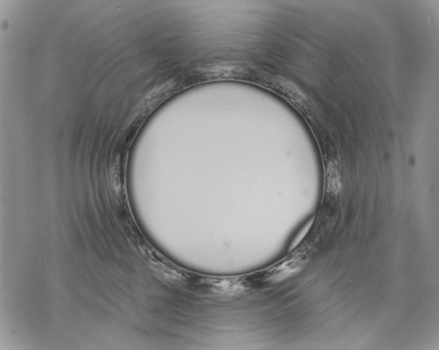 X0000071770377200607282219