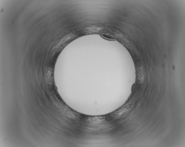 X0000071770378200607282219