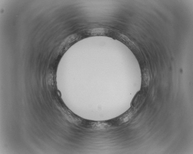 X0000071770379200607282219