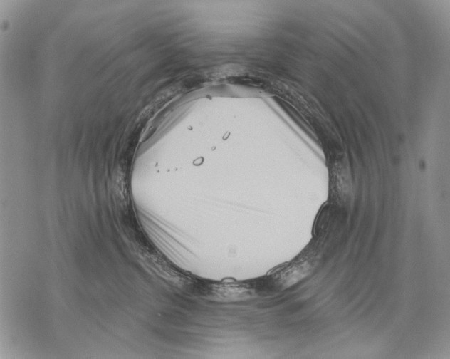 X0000071770380200607282219