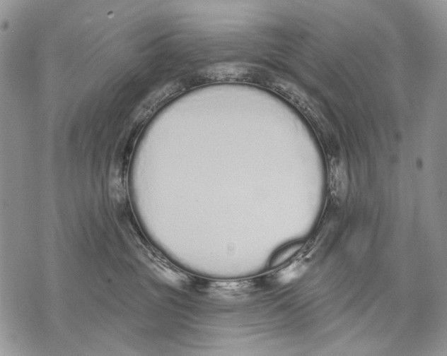 X0000071770381200607282219