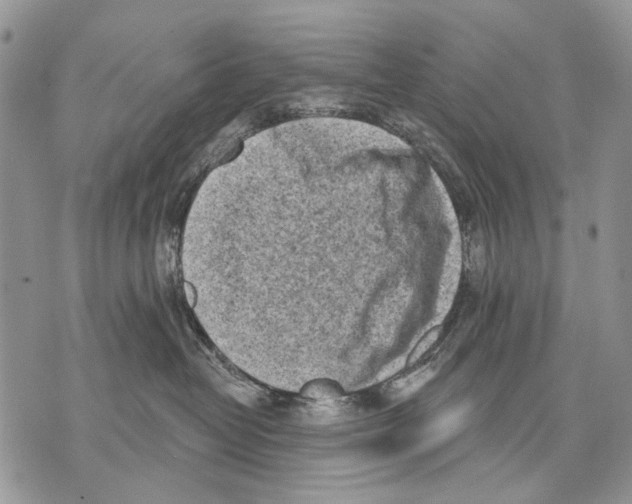 X0000071770382200607282219