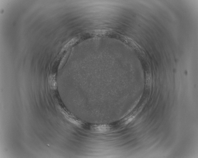 X0000071770383200607282219