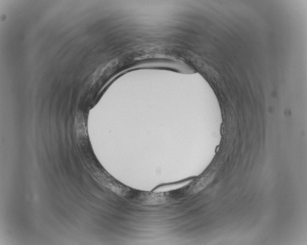 X0000071770384200607282219