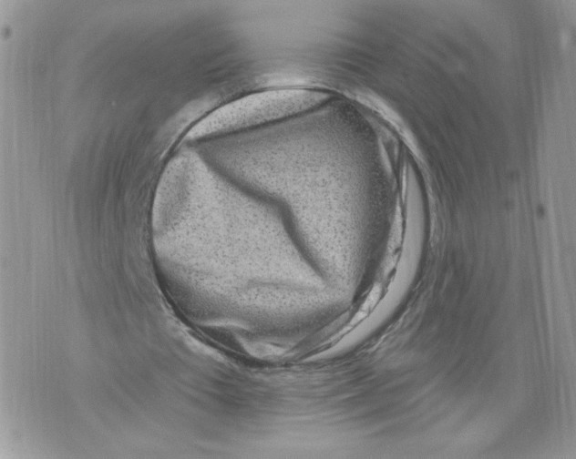 X0000071770385200607282218