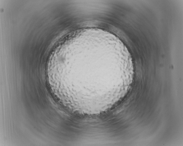 X0000071770386200607282218