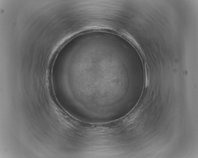 X0000071770387200607282218