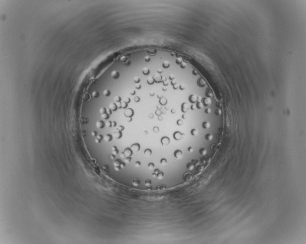 X0000071770388200607282218