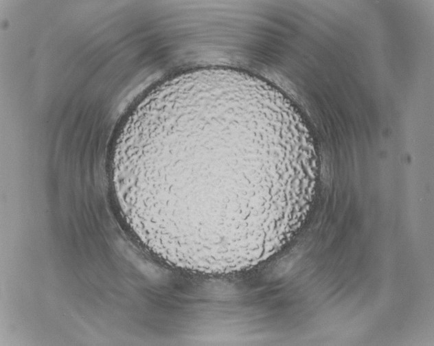 X0000071770390200607282218